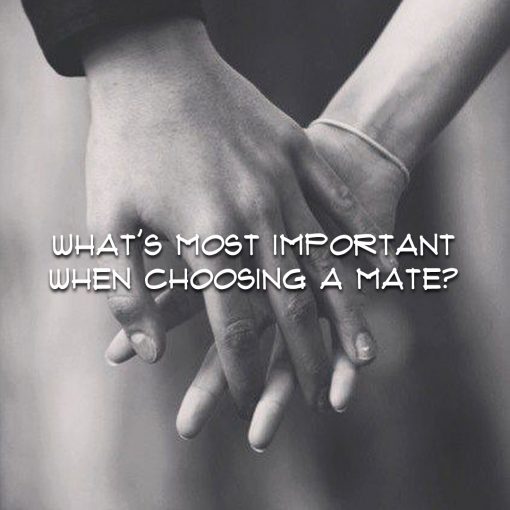WHAT IS MOST IMPORTANT IN CHOOSING A MATE?
